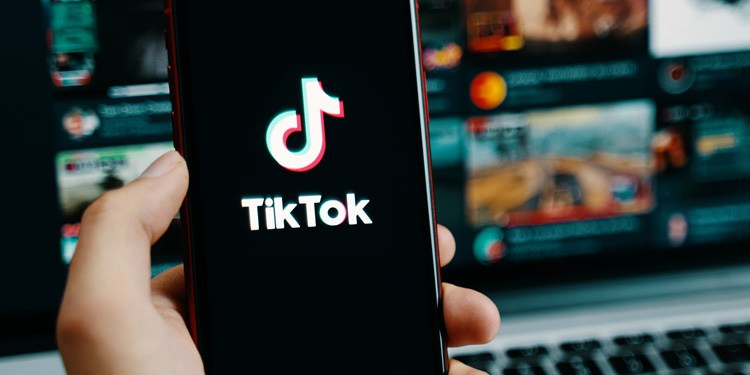 Porn Malware: Info Stealing Software Uses TikTok Invisible Challenge 38 TikTok Invisible Challenge