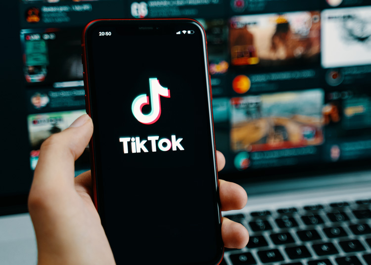 Porn Malware: Info Stealing Software Uses TikTok Invisible Challenge 40 TikTok Invisible Challenge