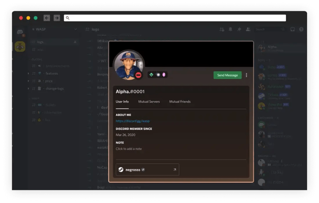 Porn Malware: Info Stealing Software Uses TikTok Invisible Challenge 39 WASP stealer malware