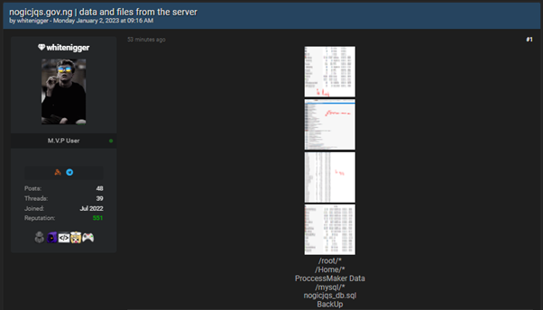 Nigerian Oil and Gas Sector Under Attack, Hackers Leak NOGIC Data 42 Nigeria 2