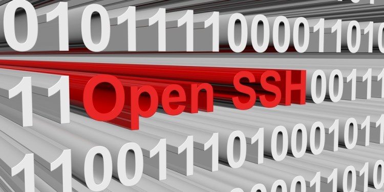 OpenSSH Eliminates Double-Free Memory Vulnerability that can be Exploited Over the Network 38 OpenSSH Server