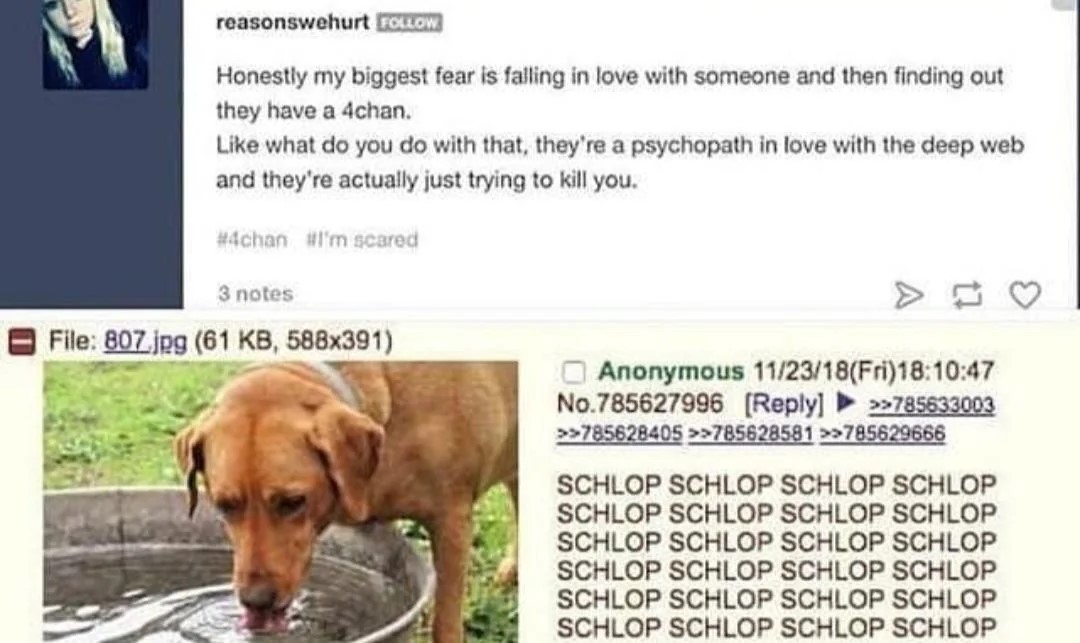 The Dark Side of Anonymity: A Closer Look Into 4Chan Communities 43 image1 4chan 1