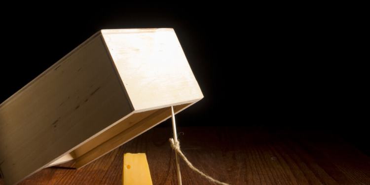 Tricking the Tricksters: Honeypot Experiment Lures Hackers into a Trap 39 Honeypot for Hackers