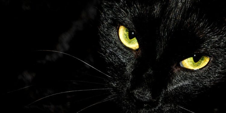 Cybersecurity Alert: BlackCat Ransomware Strikes Newton Media Website 38 Newton Media cyber attack