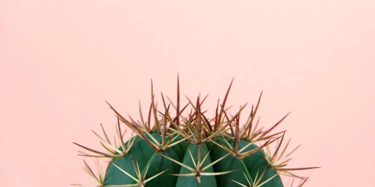 Unraveling the CACTUS Ransomware Group's Recent Exploits 39 CACTUS Cyber Attack