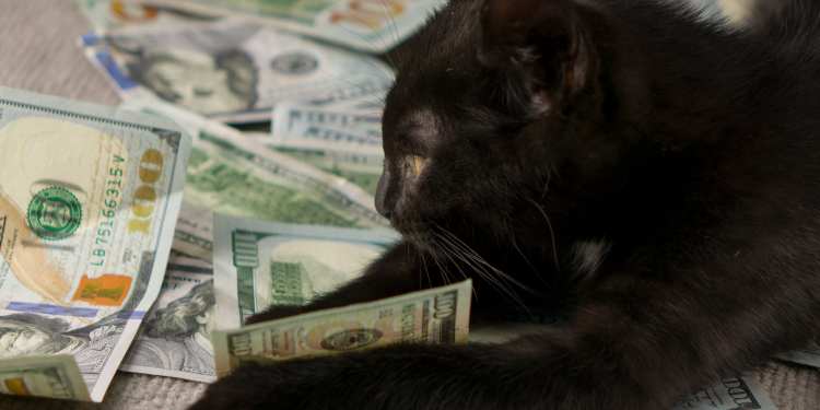 BlackCat Stole 5TB SQL Data from the QSI Banking Cyberattack 40 QSI Banking Cyberattack