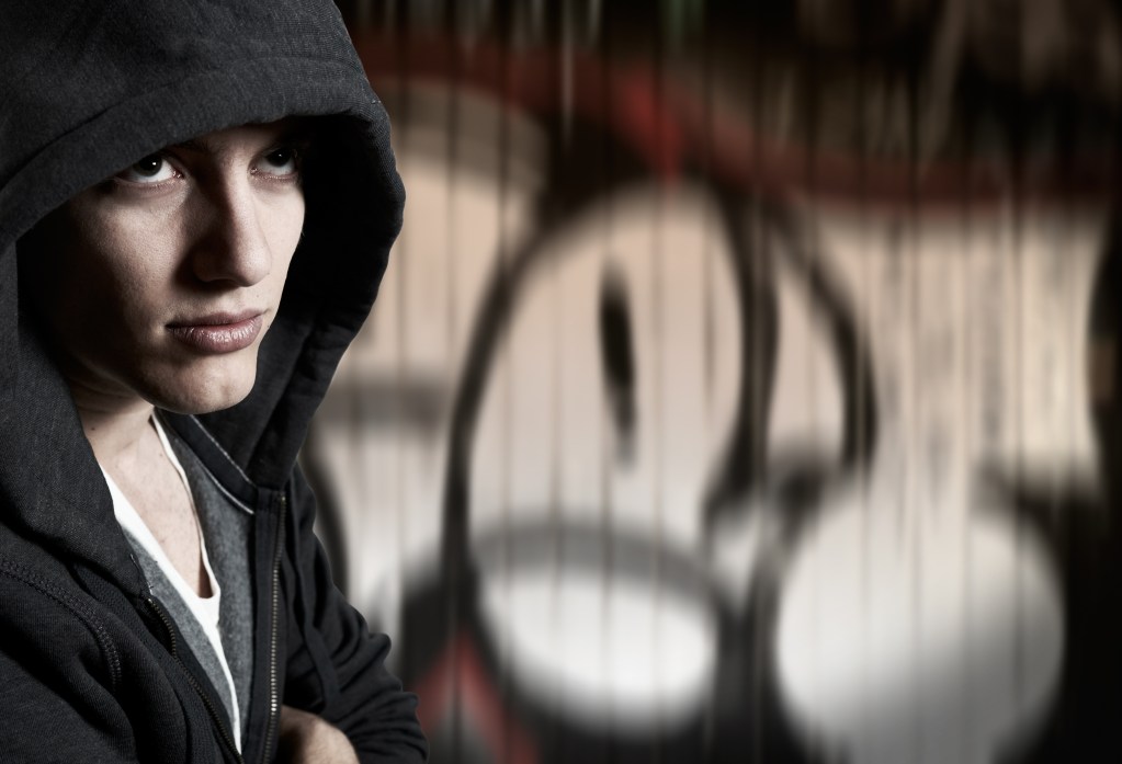 GenZ Hackers: The Unseen Threat to Cybersecurity 48 young hacker