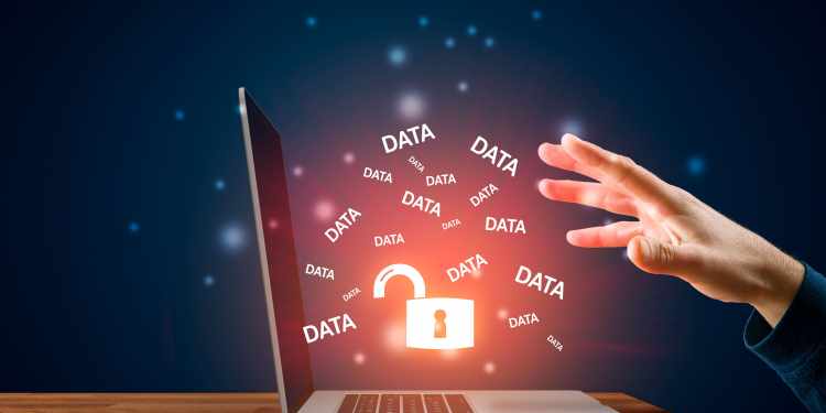 Massive Data Leak by 'Nobody' Claimed on Dark Web; US Shop Mall, The Body Shop Among Listed Victims 37 nobody data leak 9