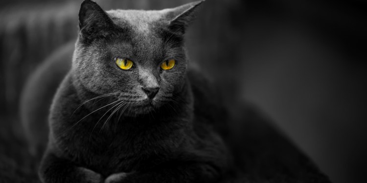 Alphv/BlackCat SEC Complaint: A Desperate Move, Pressure Tactic, or Exploiting Regulations? 39 BlackCat ransomware group