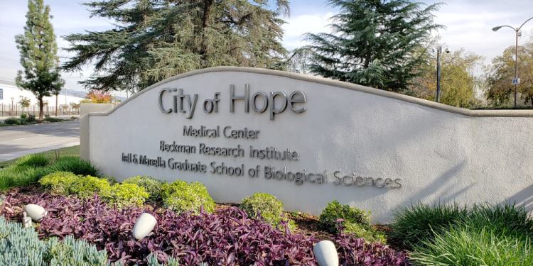 City of Hope Cancer Center Faces Data Breach: Impacting Over 800,000 Individuals 40 City of Hope