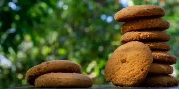 Cookie, cookie consent,ICO