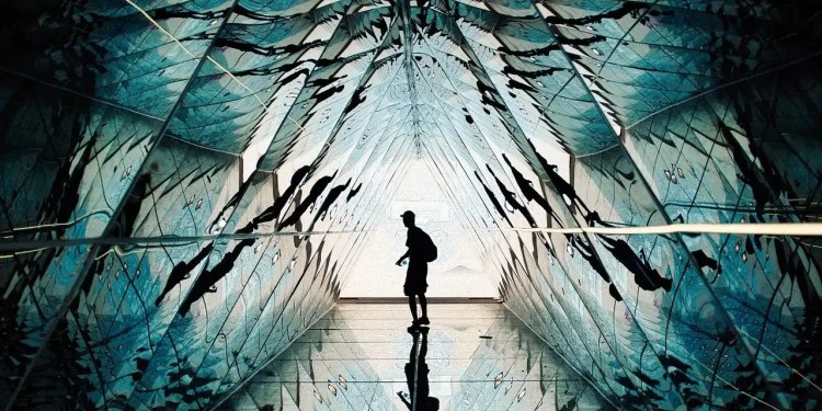 Fast Flux is the New Cyber Weapon—And It's Hard to Stop, Warns CISA 38 Fast Flux