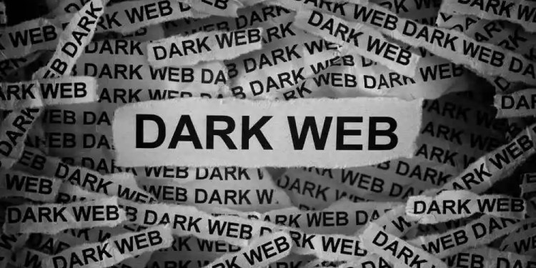 Strategic Insights: The Importance of Dark Web Monitoring for CEOs 37 Importance of Dark Web Monitoring for CEOs
