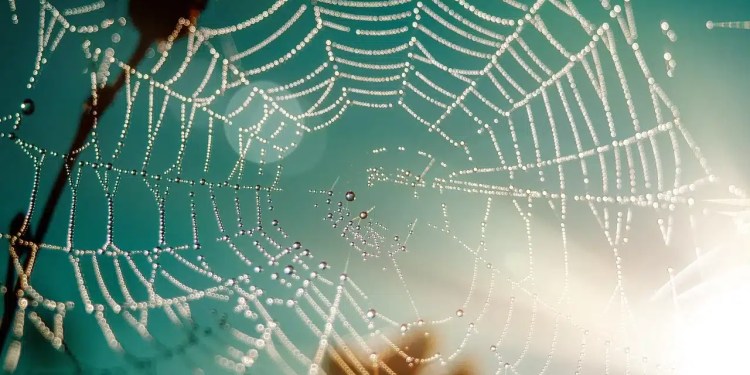 Dark Web No Longer Safe Haven: 270 Arrested in Global Law Enforcement Raid 37 Operation RapTor