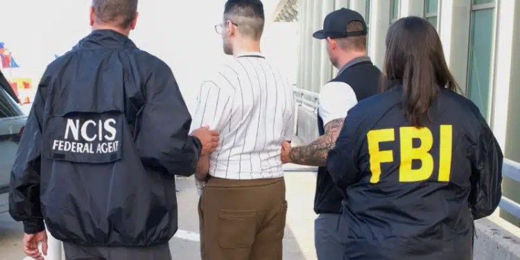 RedLine Infostealer Network's Second Defendant Now Faces a U.S. Court 37 RedLine Infostealer, infostealer Operator, Armenia, Infostealer Operator Armenia, US Extradition, FBI, Hambardzum Minasyan, Minasyan