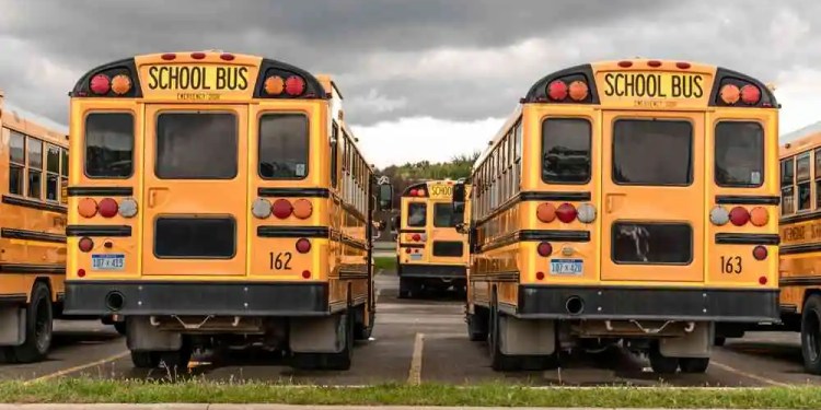 Rockford Public Schools Restores Systems After Ransomware Attack 38 Rockford Public Schools Ransomware Attack Michigan