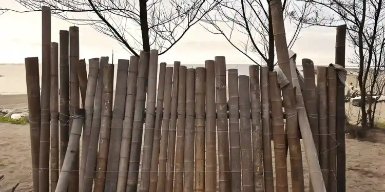 StormBamboo's DNS Poisoning Attack Targets Software Updates 38 StormBamboo DNS Poisoning Attack