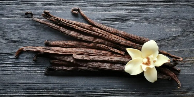 Microsoft Disrupts Vanilla Tempest Campaign Using Fraudulent Code-Signing Certificates 37 Vanilla Tempest, Vice Society