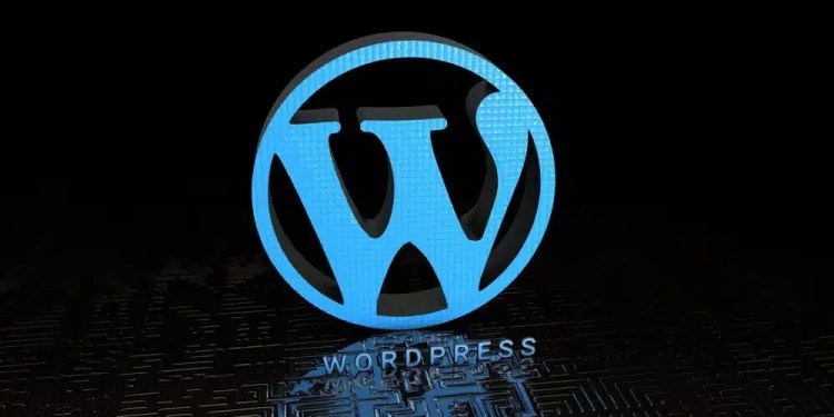 WordPress plugin vulnerabilities