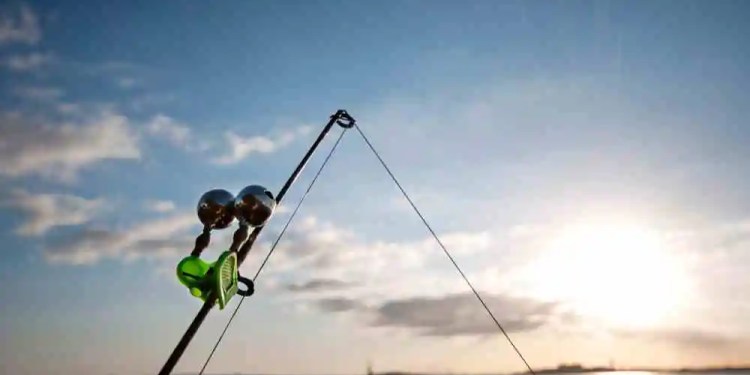 US Atlantic Fisheries Commission Goes Offline: Ransomware Attack or Routine Maintenance? 39 8base hack, U.S. Atlantic States Marine Fisheries Commission